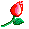 1c114a4b799a.gif