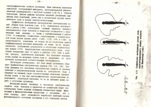 Торнуев_8.jpg