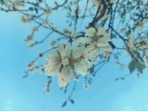 20230310_165339 (Копировать).jpg