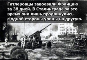 64f1a9ee-f310-47fe-b4cf-a31c4446419a (Копировать).jpg