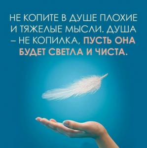 перышко (Копировать).png